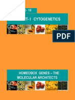 Homeotic Genes - Molecular Architects