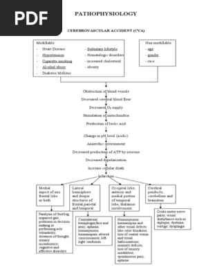 Pathophysiology