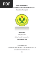 Download Makalah Biotek - Etika Rekayasa  Transgenik by Kidung Wulandari SN251367780 doc pdf