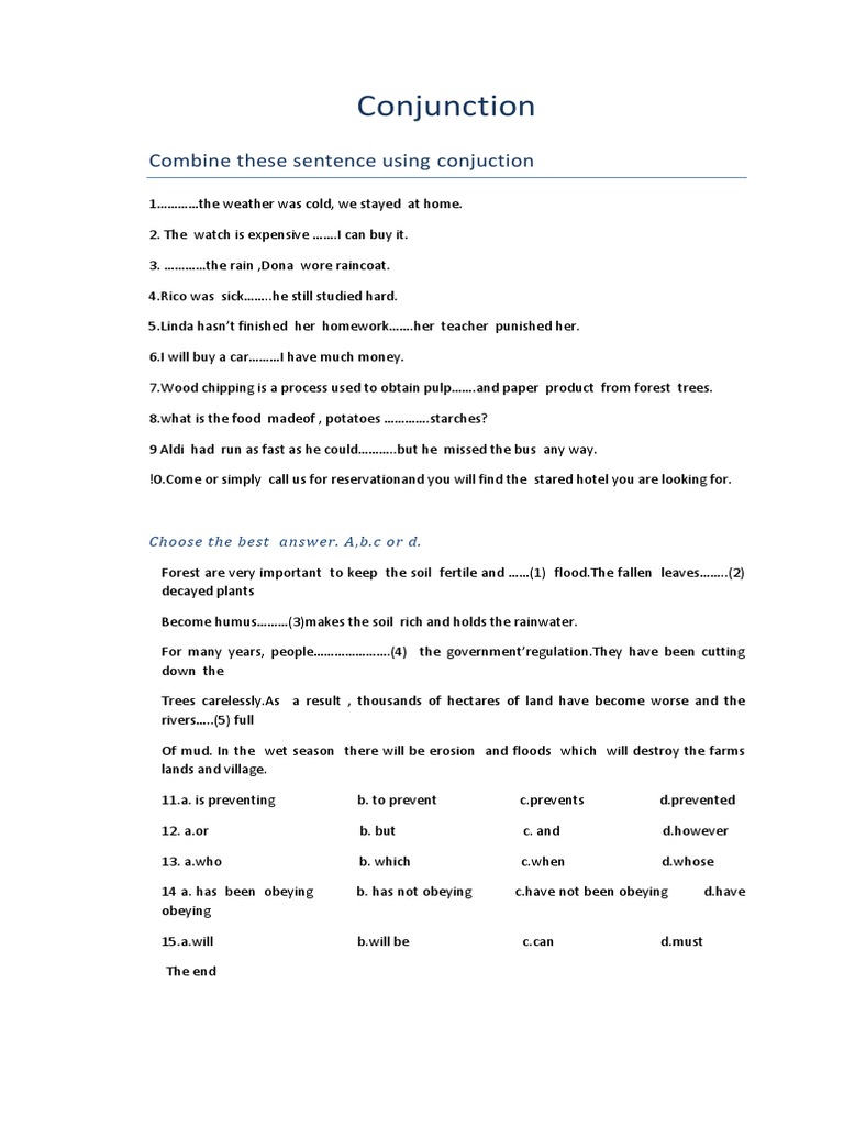 English Conjunction Exercises | PDF