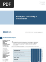 Broadpeak Consulting - Services Brief 