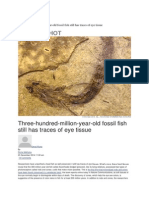 300-Myr-Old Fossil Fish Still Has Traces of Eye Tissue