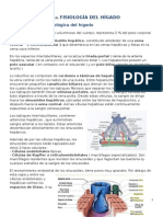 Tema 16.fisiologia Del Higado