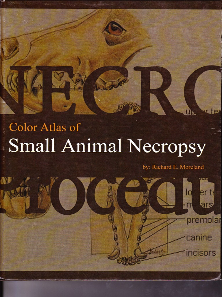 Color Atlas of Small Animal Necropsy Download Free PDF Pathology