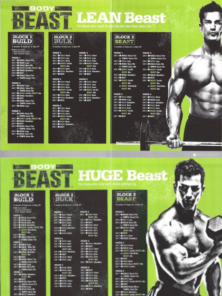 6 Day Body Beast Workout Free for Push Pull Legs