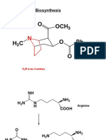 O OCH O O PH: Cocaine Biosynthesis