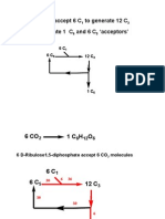 Biosynthesis and Pharmacognosy Lecture 3 - Biosynthesis of Carbohydrates 2