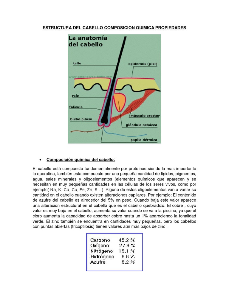 Estructura Del Cabello Composicion Quimica Propiedades