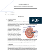 LP Tumor Ginjal