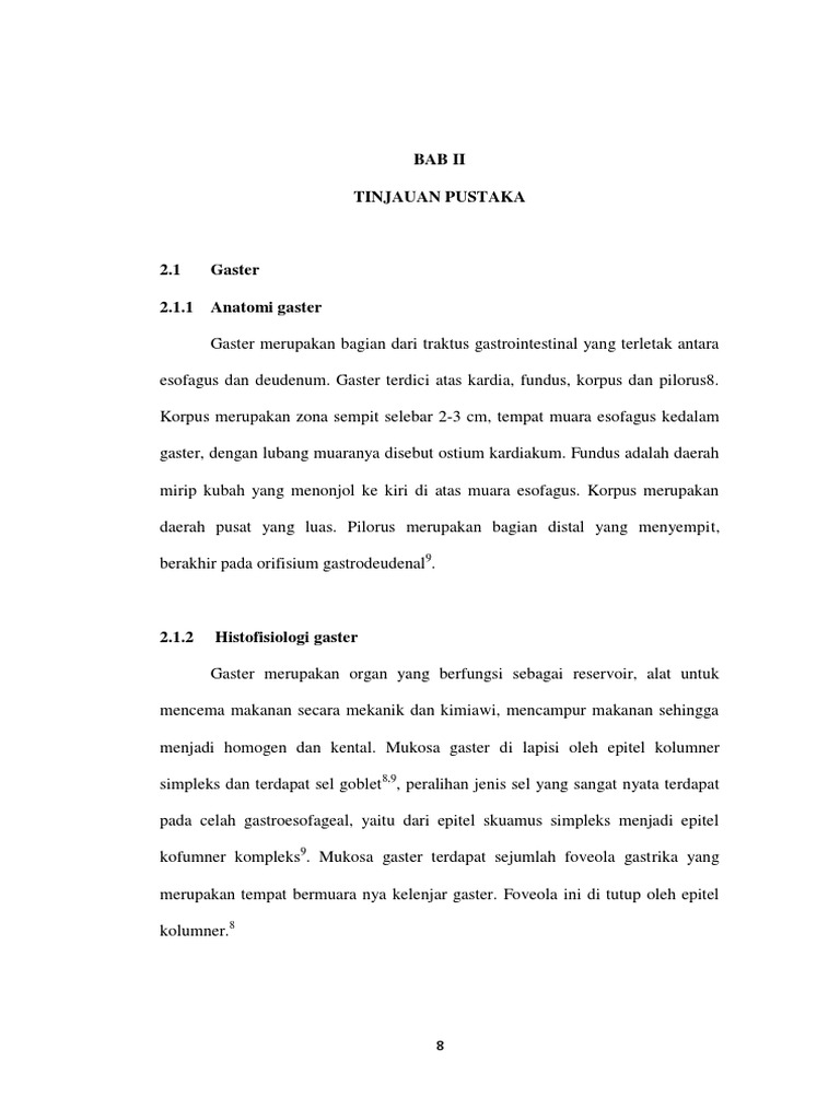 Anatomi Gaster | PDF
