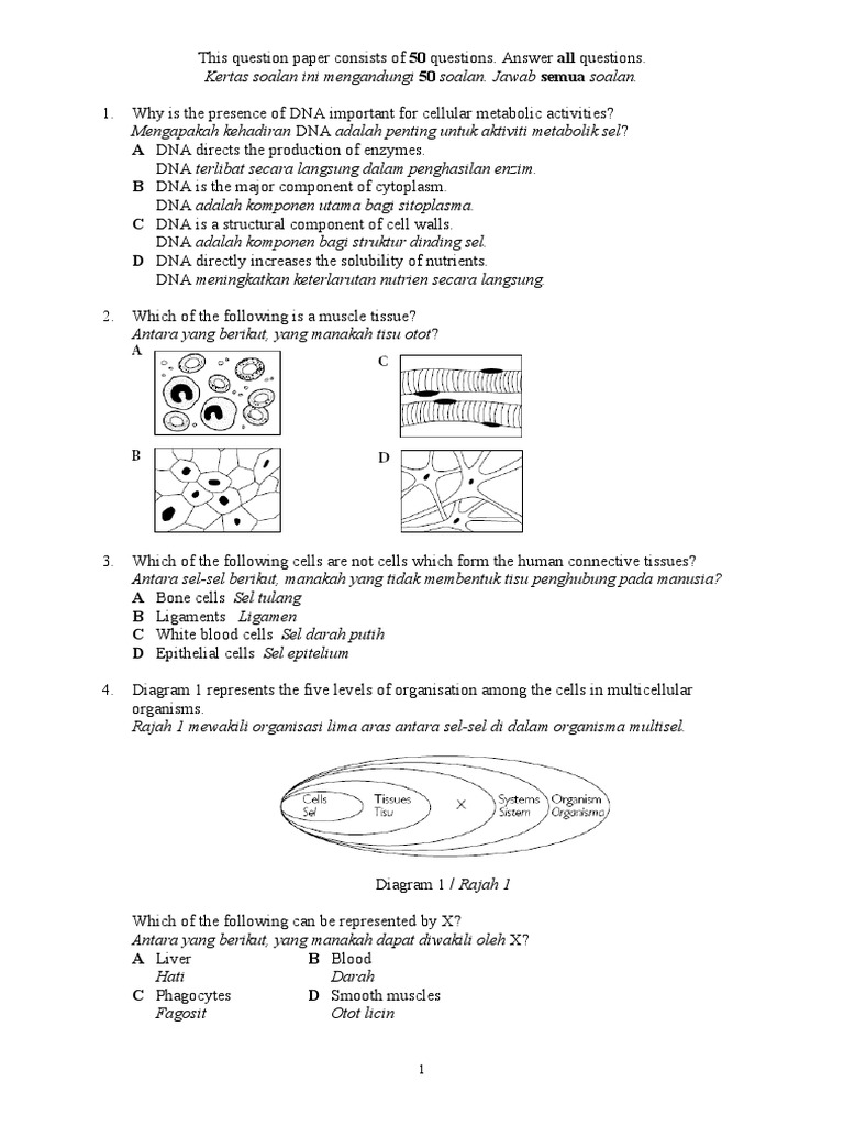 91200361-peperiksaan-pertengahan-tahun-Biology-Tingkatan-4 