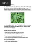 Download Manfaat Dan Kandungan Daun Singkong by Kelvan Derry Maulana SN251425992 doc pdf