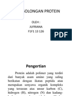 Jufriana Penggolongan Protein