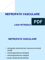 Nefropat Vasc Ischemice Complet