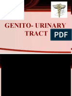 Genito- Urinary Tract
