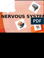 Nervous System