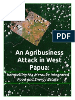 An Agribusiness Attack in West Papua
