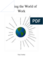 A World of Work Map. Research findings and a careers library poster. Tony Crowley