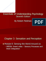 Essentials of Understanding Psychology: Seventh Edition