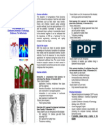 Brochure CFD2PF 2011