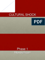 Culture Shock