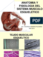 4 Musculo Esqueletico