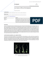 Effect of Plant Hormone Auxin in Flower Development