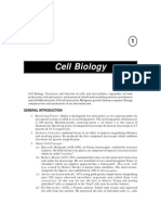 Notes Cell