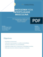 Cromossoma Y e a Infertilidade