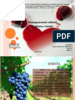 calitatea vinului