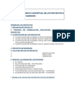 Capitulo I - Marco Conceptual de Los Proyectos de Inversión