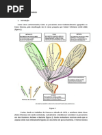 Bactérias e Protozoários