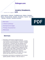 Enterobius Metapathogen PDF