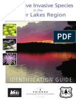 Superior NF/Friends BWCAW Invasive Species Brochure