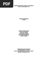 La Importancia de Majerar El Flujo de Efectivo - Ensayo