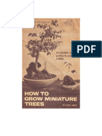 Miniature trees (How To Grow Bonsai)