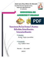 Reacciones Quimicas de los Aceites y Grasas_RudyTagle