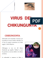 Virus Del Chikunguña