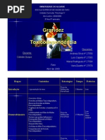 Gravidez e Toxicodependência