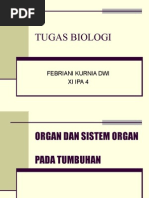 Download Organ Dan Sistem Organ Pada Tumbuhan by belovedsuper SN25154304 doc pdf