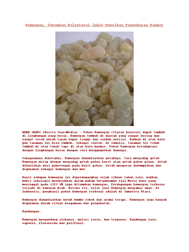 Kemenyan Pdf