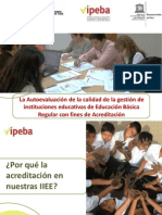 (300654299) Proceso de Autoevaluación