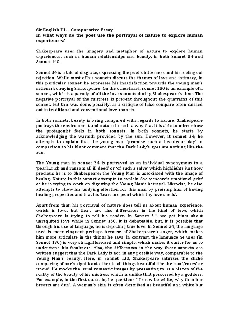 William shakespeare research essay picture