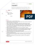 Originalni Burek PDF