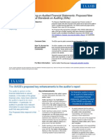 Auditor Reporting at A Glance July 2013-Final PDF