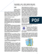 apostilaatualidades2013-131007111158-phpapp01.pdf