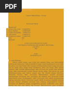 Download PEWARNAAN BAKTERI by Rizki Fauziah SN251581540 doc pdf