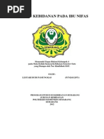 Download asuhan kebidanan pada ibu nifas by LEzthari Budi Pamungkas SN251586064 doc pdf