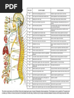 Download Neuro-AnatomyChartpdf by Kepala Botak SN251586206 doc pdf
