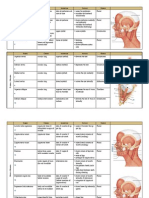 Muscle chart.pdf